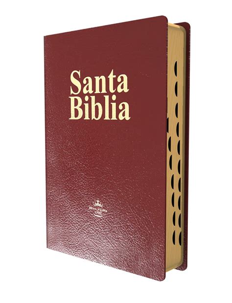 Biblia Letra Gigante Con Concordancia Reina Valera Piel Fabricada My