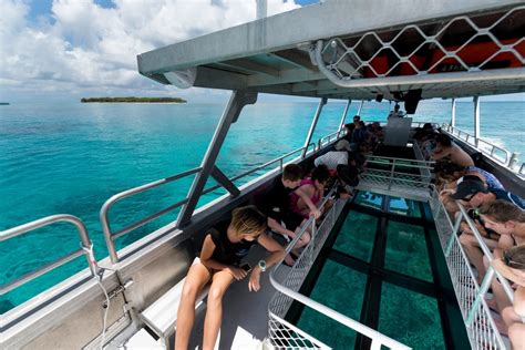 Glass Bottom Boat 6 Lady Musgrave Experience Great Barrier Reef