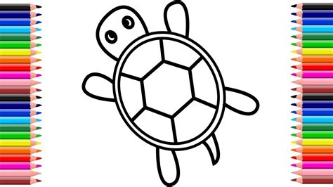 Como Dibujar Una Tortuga Paso A Paso Como Dibujar Fácil Easy