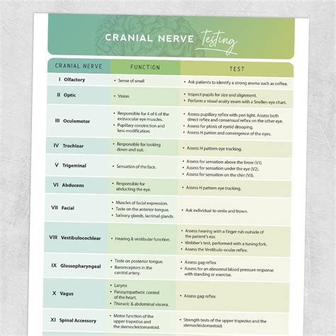Cranial Nerves And Testing