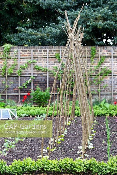 Gap Gardens Willow Plant Supports In Vegetable Garden Walled Kitchen