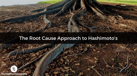 Root Cause Approach And Hashimotos Dr Izabella Wentz