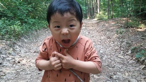 소령원 숲속 숲놀이터 시후의 놀이터로 변한 숲속 산책길 Won Hee Lee Flickr