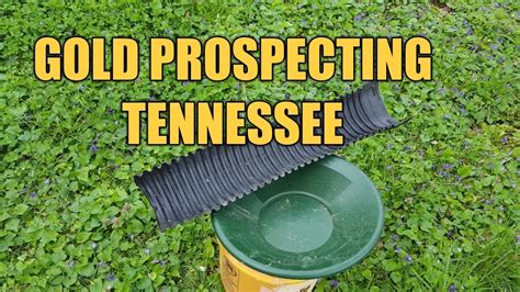 Gold Prospecting Tennessee Youtube