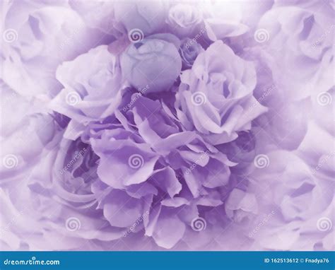 Floral Vintage Light Purple Background Stock Photo Image Of