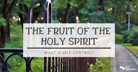 We must accept that what's happened is part of god's plan!. The Fruit of the Holy Spirit - What is self-control ...