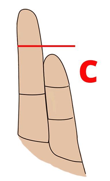 The Secret To Your Personality Is The Length Of This Finger Mine Was Spot On Https