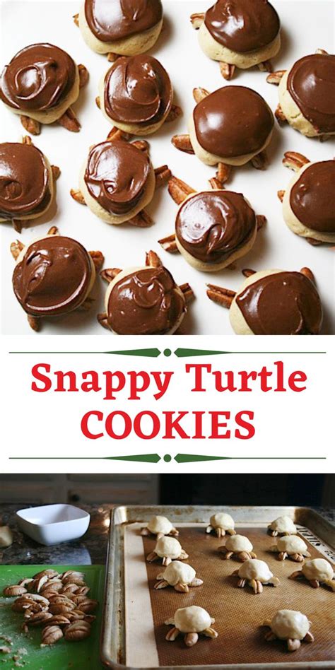 Snappy Turtle Cookies Recipe Turtle Cookies Recipe Easy Holiday