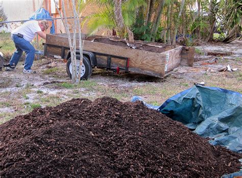 A good location helps ease the initial work. And the garden begins again….