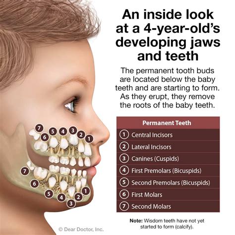 Pediatric Dentistry | The Children’s Choice Pediatric Dentistry