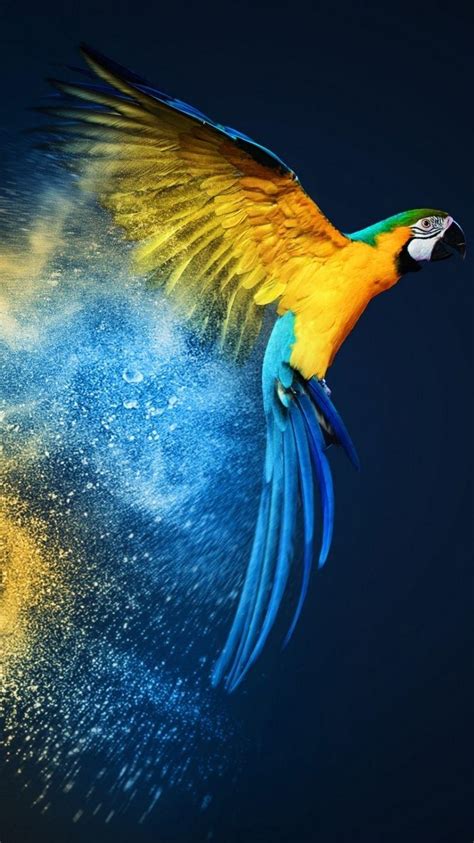 Parrot Os Mobile Wallpapers Wallpaper Cave