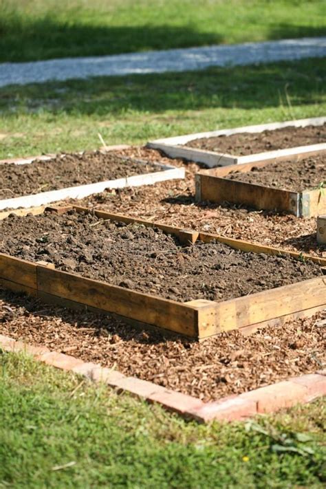 Check spelling or type a new query. How to Start A Raised Garden Over Grass | Vegetable garden ...