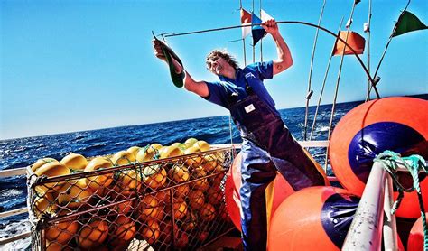 Video Life On A Longline Fishing Boat Australian Geographic
