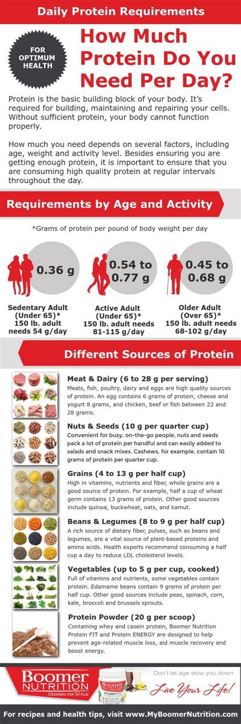 Daily Protein Requirements How Much Protein Do You Really Need Protein Requirements Fitness