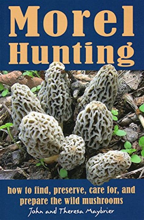 The 7 Best Mushroom Foraging Books Of 2022