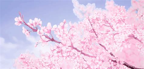 Anime scenery has always been one of my favorite parts when watching shows. anime sakura trees | Tumblr