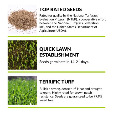 Greenview Fairway Formula Turf Type Tall Fescue Sun And Shade Grass Seed