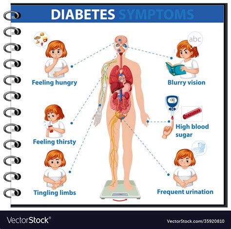 Diabetes Symptoms Information Infographic Vector Image
