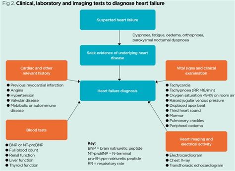 Heart Failure 1 Pathogenesis Presentation And Diagnosis Nursing Times