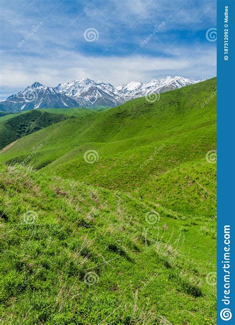 Pastures Of Alamedin Valley With High Snow Covered Mountains Background