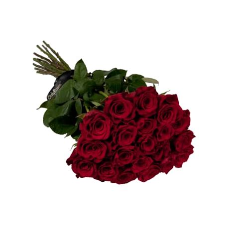 Valentines Day Classic Rose Stems London Delivery Onlyroses