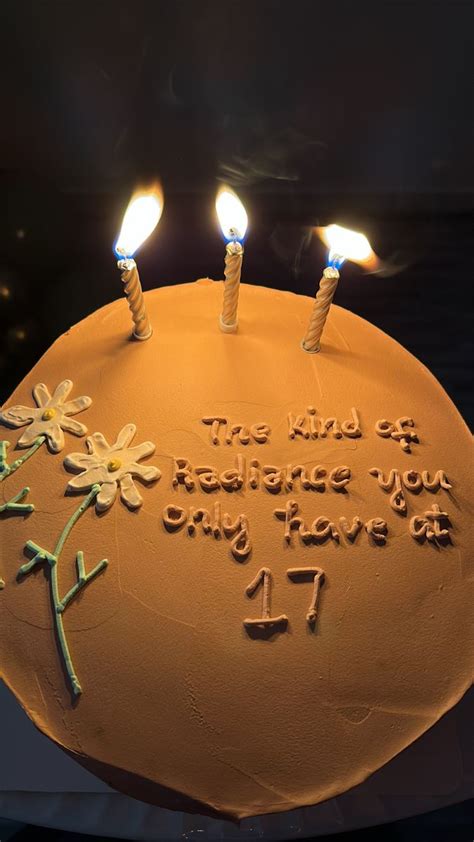 Taylor Swift Birthday Party Ideas 17th Birthday Party Ideas 17 Birthday Cake Funny Birthday