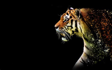 Desktop Wallpaper Tiger Predator Animal Art 5k Hd Image Picture