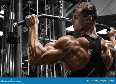 Muscular Man Workout In Gym Doing Exercise For Back Strong Male Rear