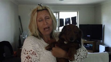 Good Doggy Pet Care Testimonial From Charlies Mum Youtube