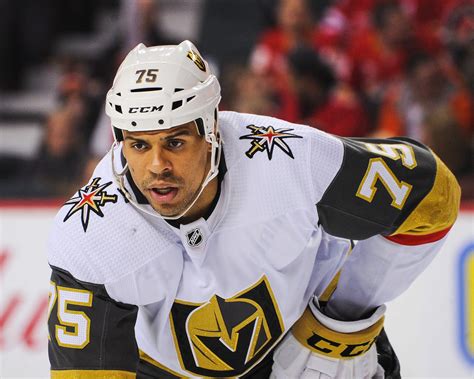 They compete in the national hockey league (nhl) as a member of the west division. Vegas Golden Knights: Four players who may have played ...