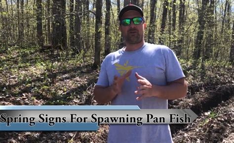 Spring Signs For Spawning Pan Fish Crappiefirst