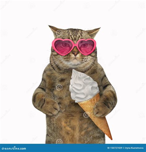 Cat Eating An Ice Cream Cone Stock Image Image Of Beach Vacation