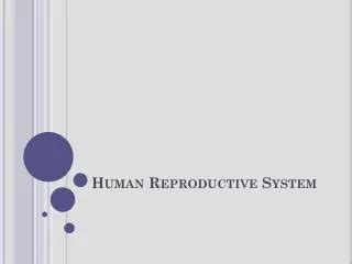 PPT Human Reproductive System PowerPoint Presentation Free Download ID