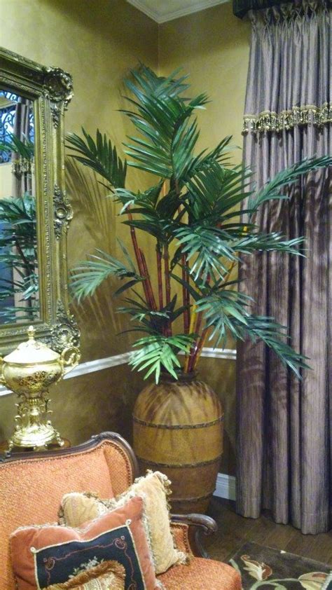 To bloom in december, bulbs are harvested in june to july, dried, stored for four days. Custom Silk Trees & Plants | Boca Raton, FL | Creative ...