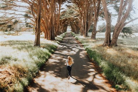 25 Amazing Stops On A 1-Week Pacific Coast Highway Road Trip Itinerary