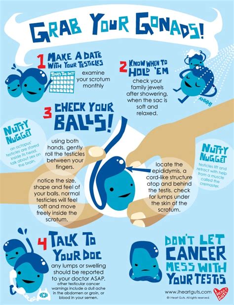 Testicular cancer is the most common cancer in men aged 15 to 34 years. My Journey with Cancer: About Testicular Cancer