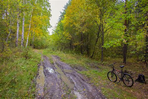 Free Images Bike Track Travel Trees Autumn Dirt Road Tree Trail