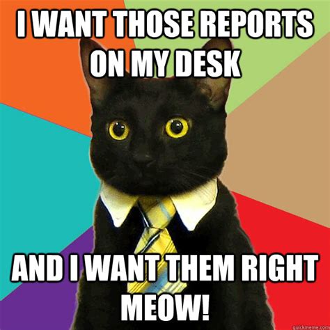 I Want Those Reports On My Desk And I Want Them Right Meow Business