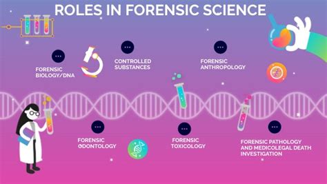 Roles In Forensic Science