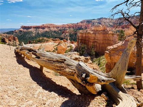 Welcome To Bryce Canyon National Park
