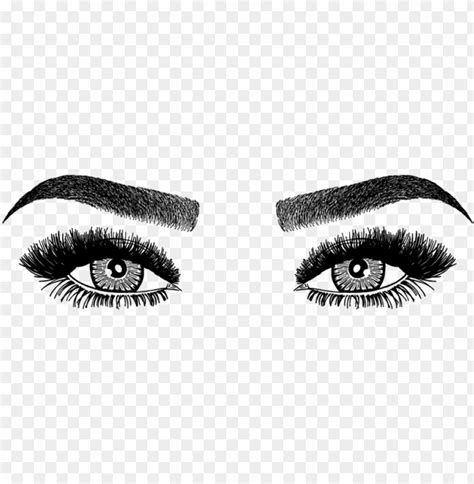 Transparent Background Eyebrows Png Transparent Largest Archive Of