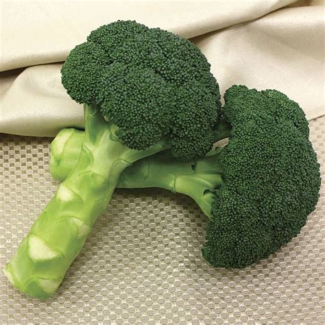 Green Magic Hybrid Broccoli Seeds Park Seed