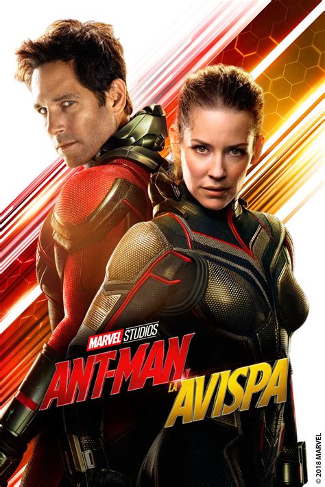 The film also stars evangeline lilly. Descargar Ant-Man and the Wasp (2018) Torrent HD1080p ...