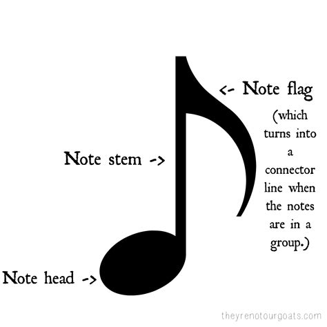 How To Read Note Value In Music Archives Theyre Not Our Goats