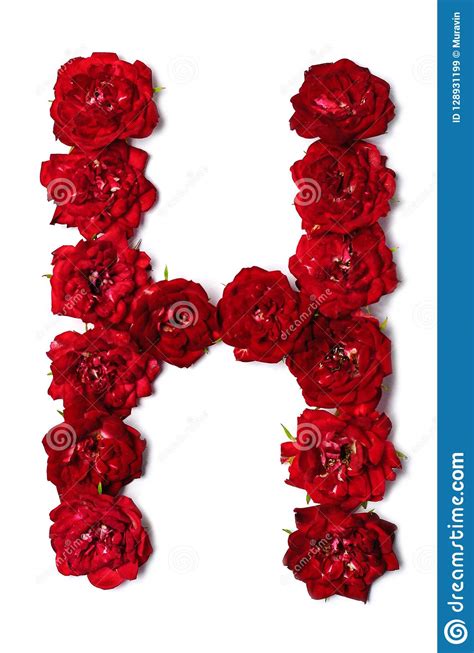 Rob is a writer for pgg and a long time lover of games that started with a. Letter H From Flowers Of Red Rose Stock Image - Image of ...