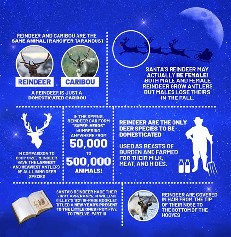 Seven Fascinating Facts About Reindeer