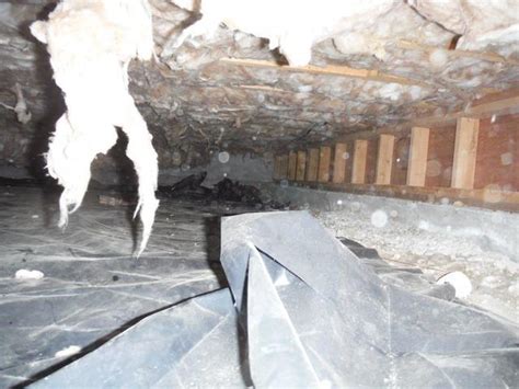 All the above mentioned third party trademarks, logo, brand names are used. Crawl Space Repair - Pest Control at the Helpline House in ...