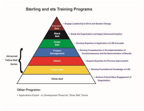 What is the six sigma certification? Six Sigma Process Management Series - Florida Sterling