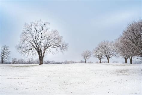 Magical Winter Landscape Photograph By Jennifer White