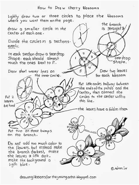 How To Draw Worksheets For The Young Artist How To Draw